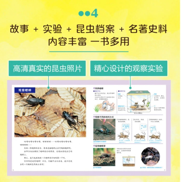 最美的法布尔昆虫记(全12册):豆瓣9.0分