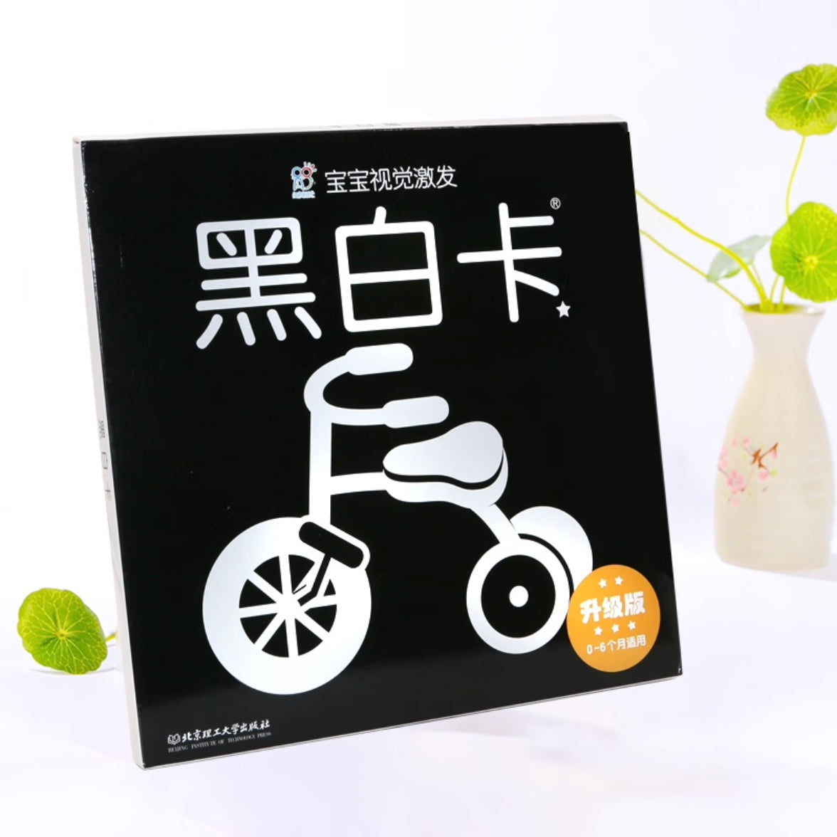 宝宝视觉激发.黑白卡.彩色卡(全4盒)海润阳光 加厚大卡