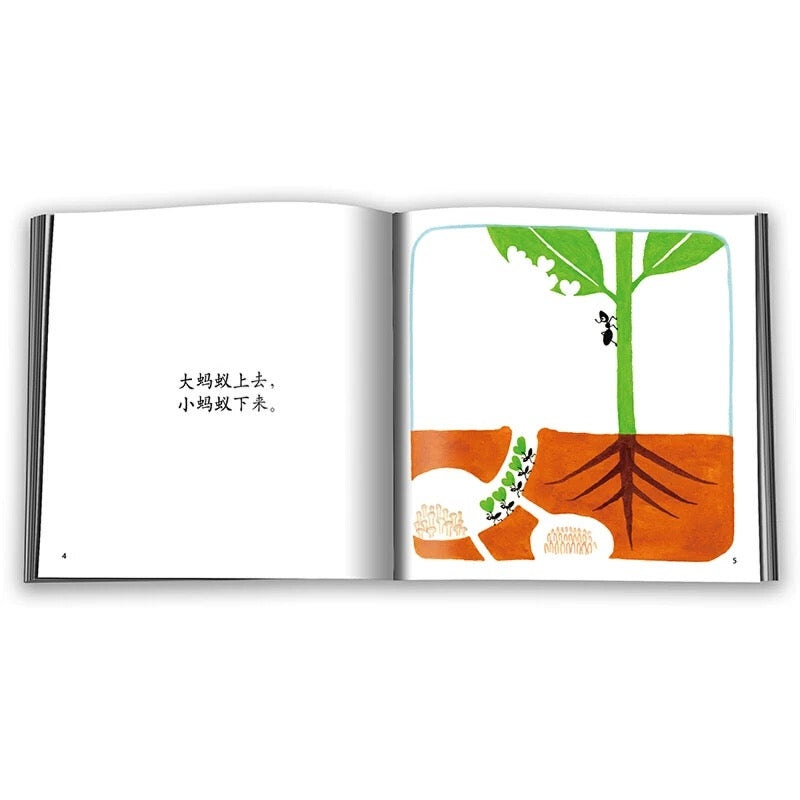 上去和下来