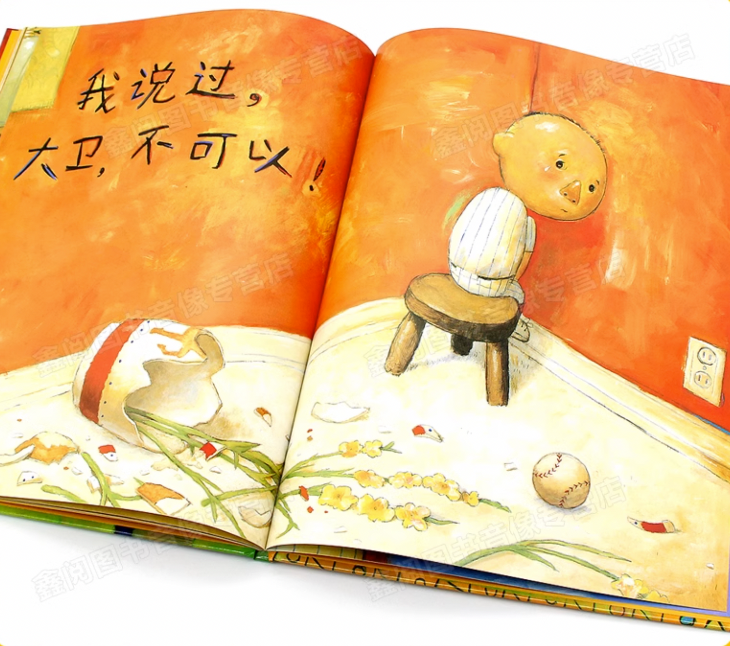 大卫不可以(精装)