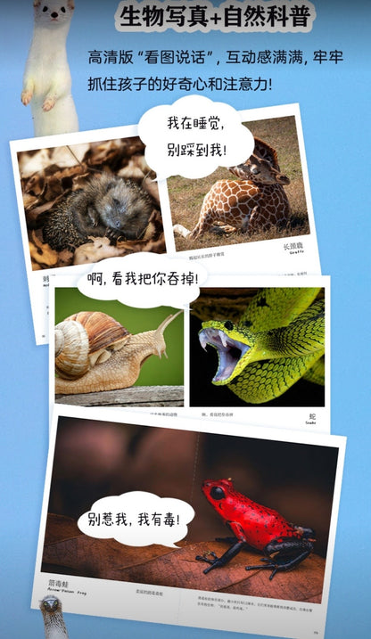 儿童纸上纪录片：小自然