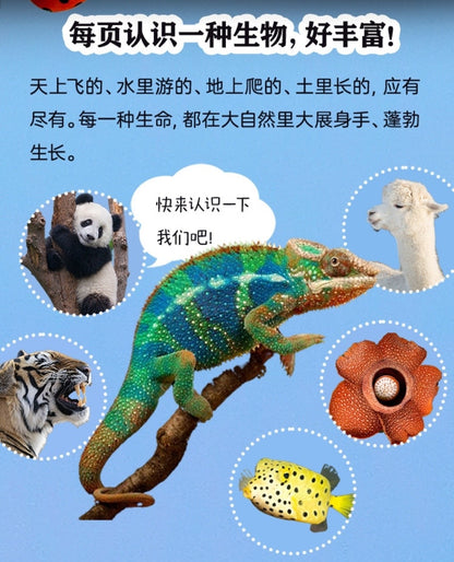 儿童纸上纪录片：小自然
