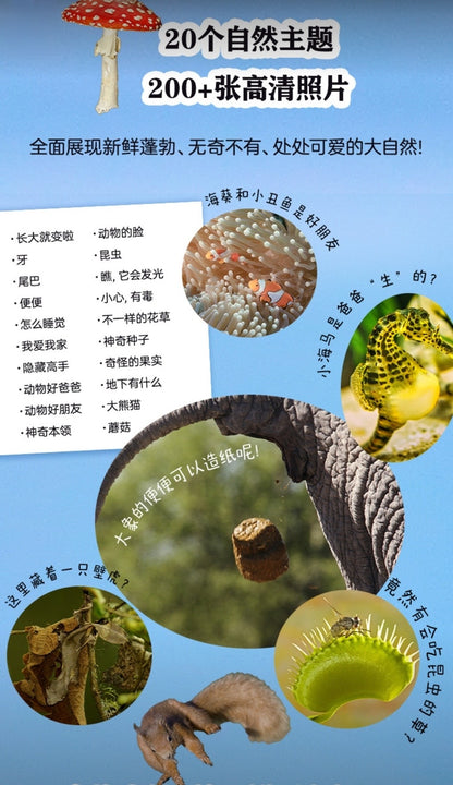 儿童纸上纪录片：小自然