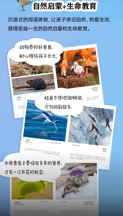 儿童纸上纪录片：小自然