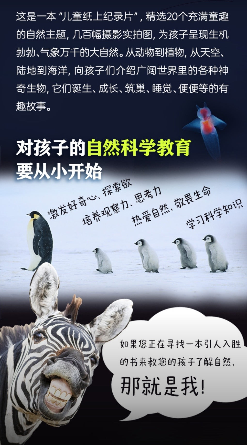 儿童纸上纪录片：小自然