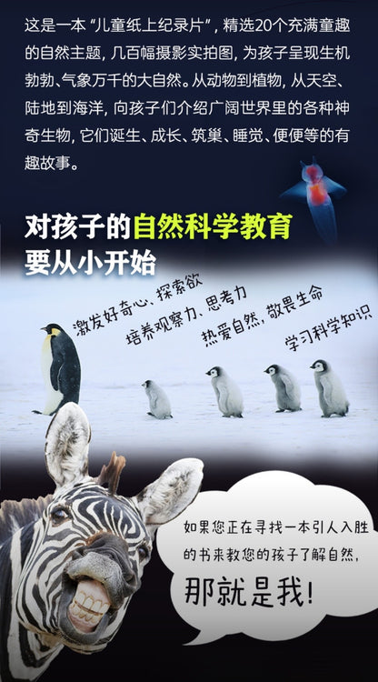 儿童纸上纪录片：小自然