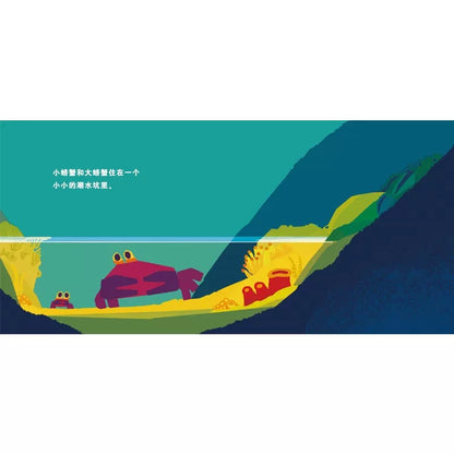 不怕不怕，小螃蟹