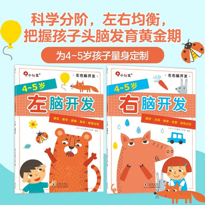 4-5岁左右脑开发（全2册） 邦臣小红花