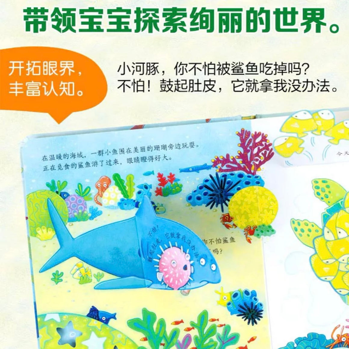 尤斯伯恩Usborne翻翻书 偷偷看里面（全6册）