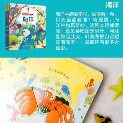 尤斯伯恩Usborne翻翻书 偷偷看里面（全6册）