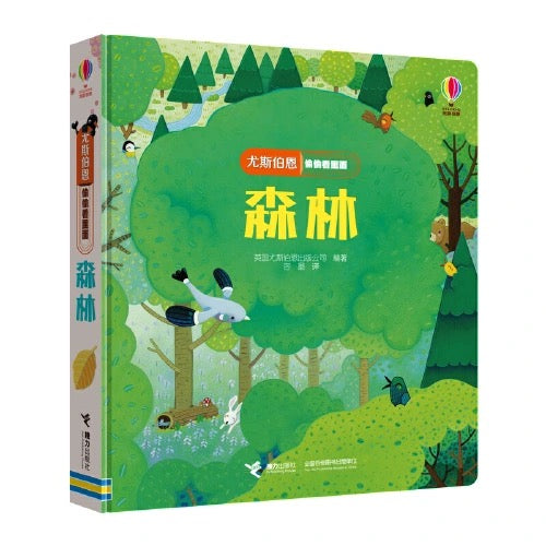 尤斯伯恩Usborne翻翻书 偷偷看里面（全6册）