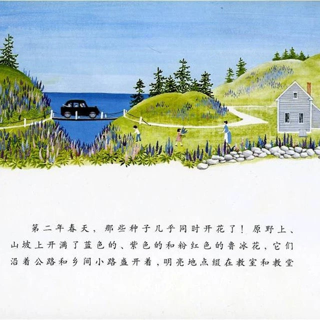 花婆婆