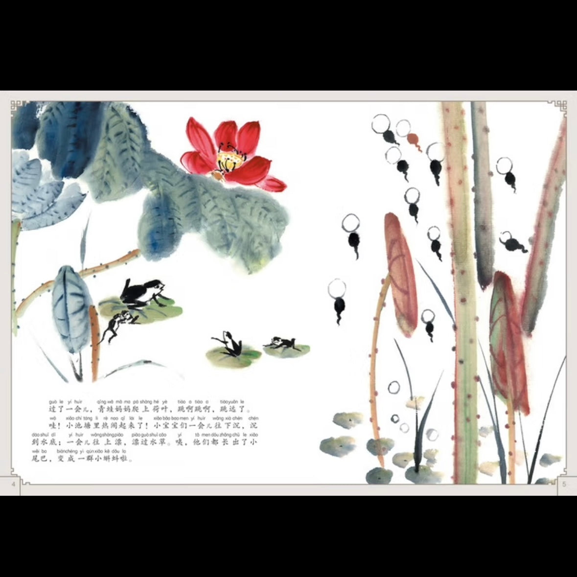 中国动画 上海美影经典故事 【注音版】 上海美影：小蝌蚪找妈妈【平装无塑封】