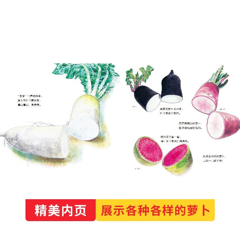 我爱蔬菜