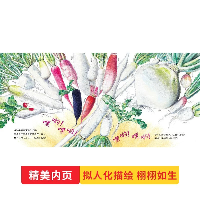 我爱蔬菜