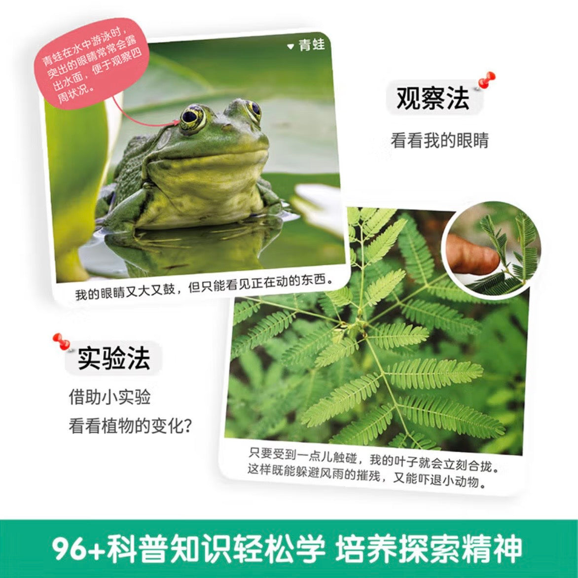 幼儿科普分级图册. 第3阶（全12册）