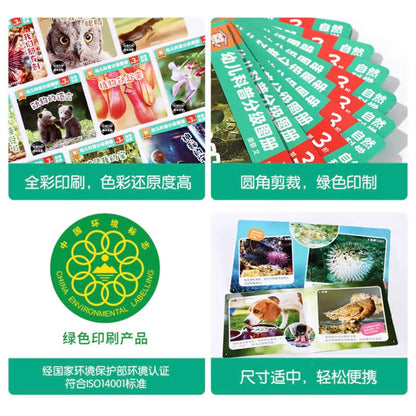 幼儿科普分级图册. 第3阶（全12册）