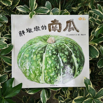 我爱蔬菜.胖墩墩的南瓜