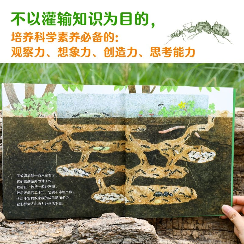 科学之友经典图画书（全12册）