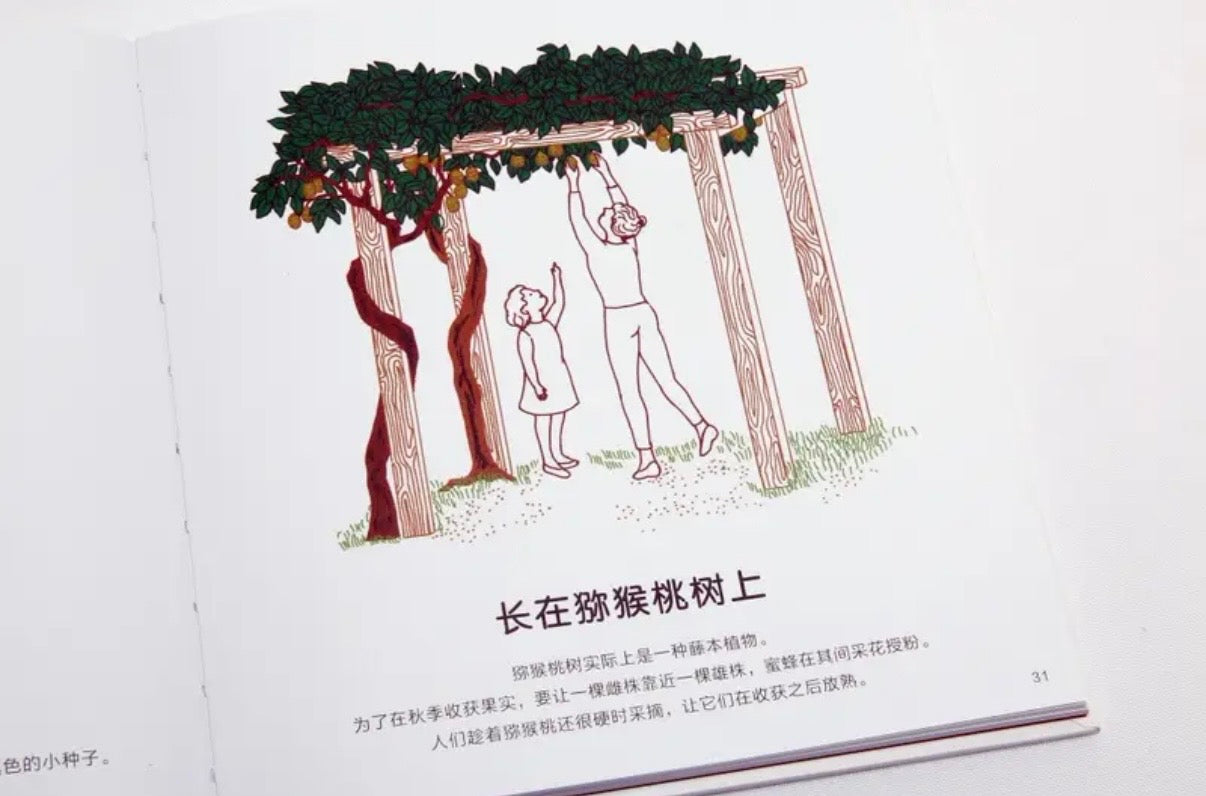 呀！蔬菜水果
