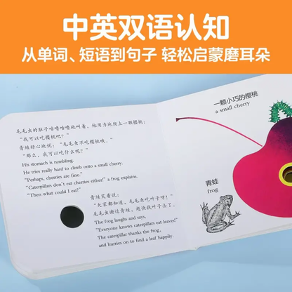 乐乐趣 奇妙洞洞书【纸板书】