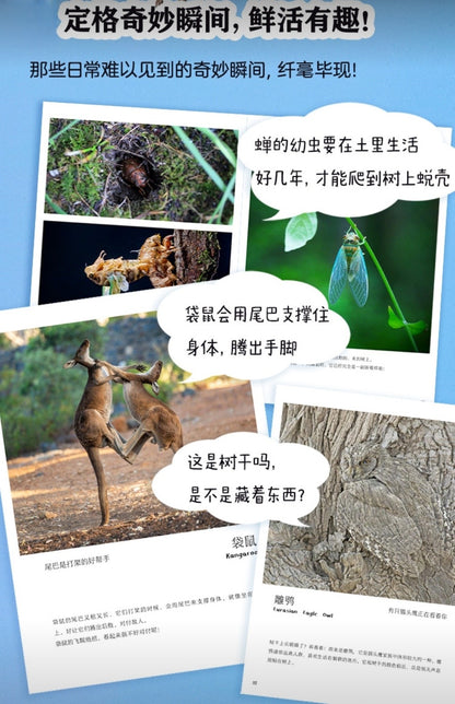 儿童纸上纪录片：小自然