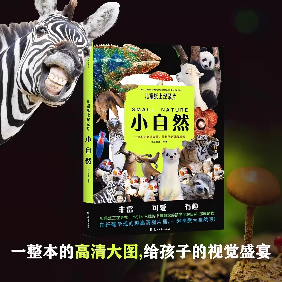 儿童纸上纪录片：小自然